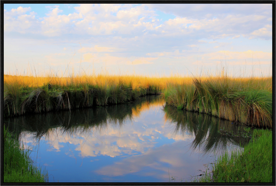 Main image Clouds In The Grass