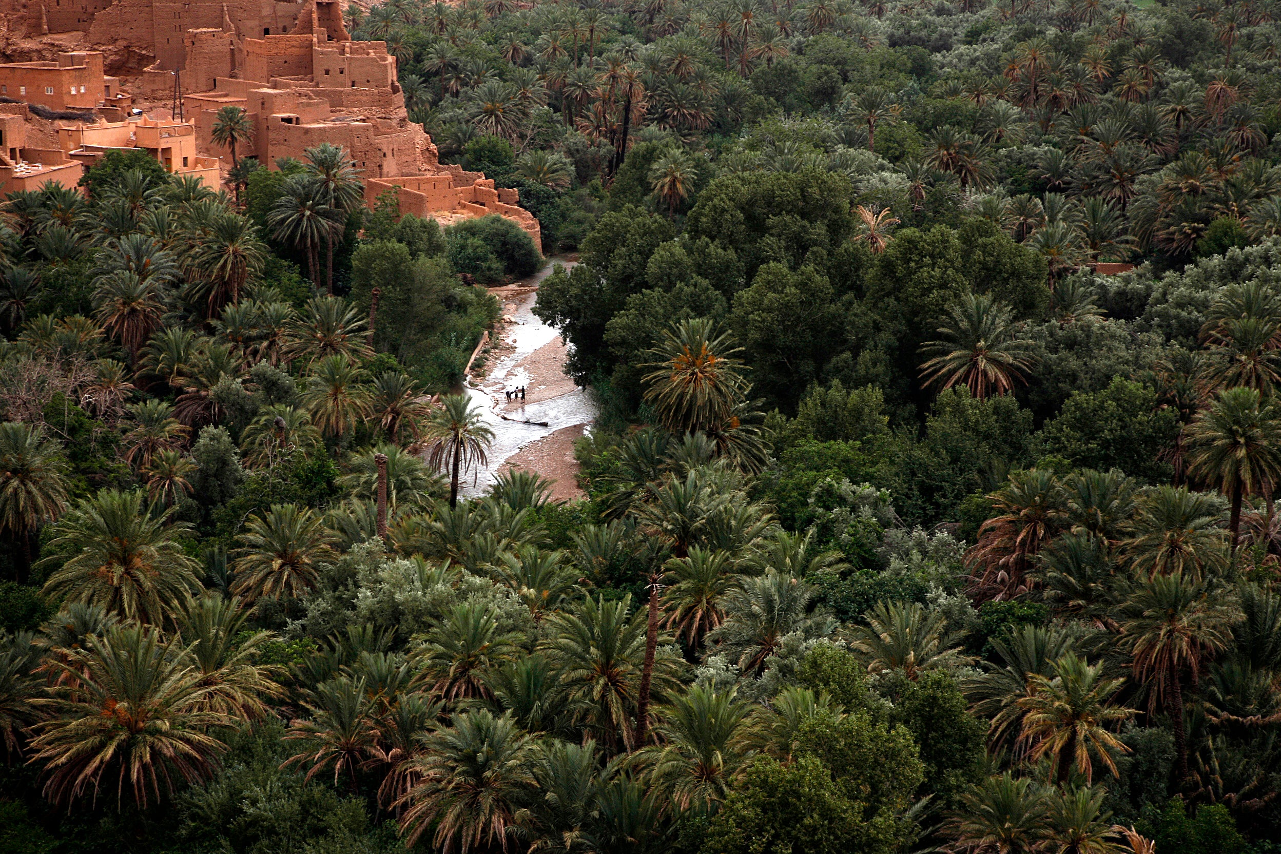 Main image At The Edge Of The Oasis