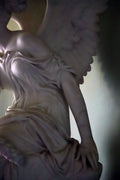 Shadow Wings