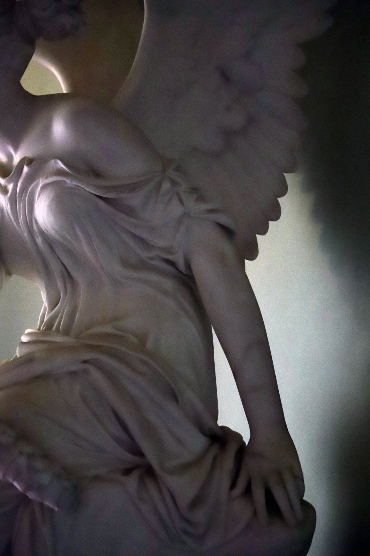 Shadow Wings
