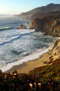 Main image To The Pacific Shore