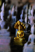 Main image Golden Miniature