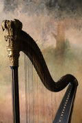 Harp