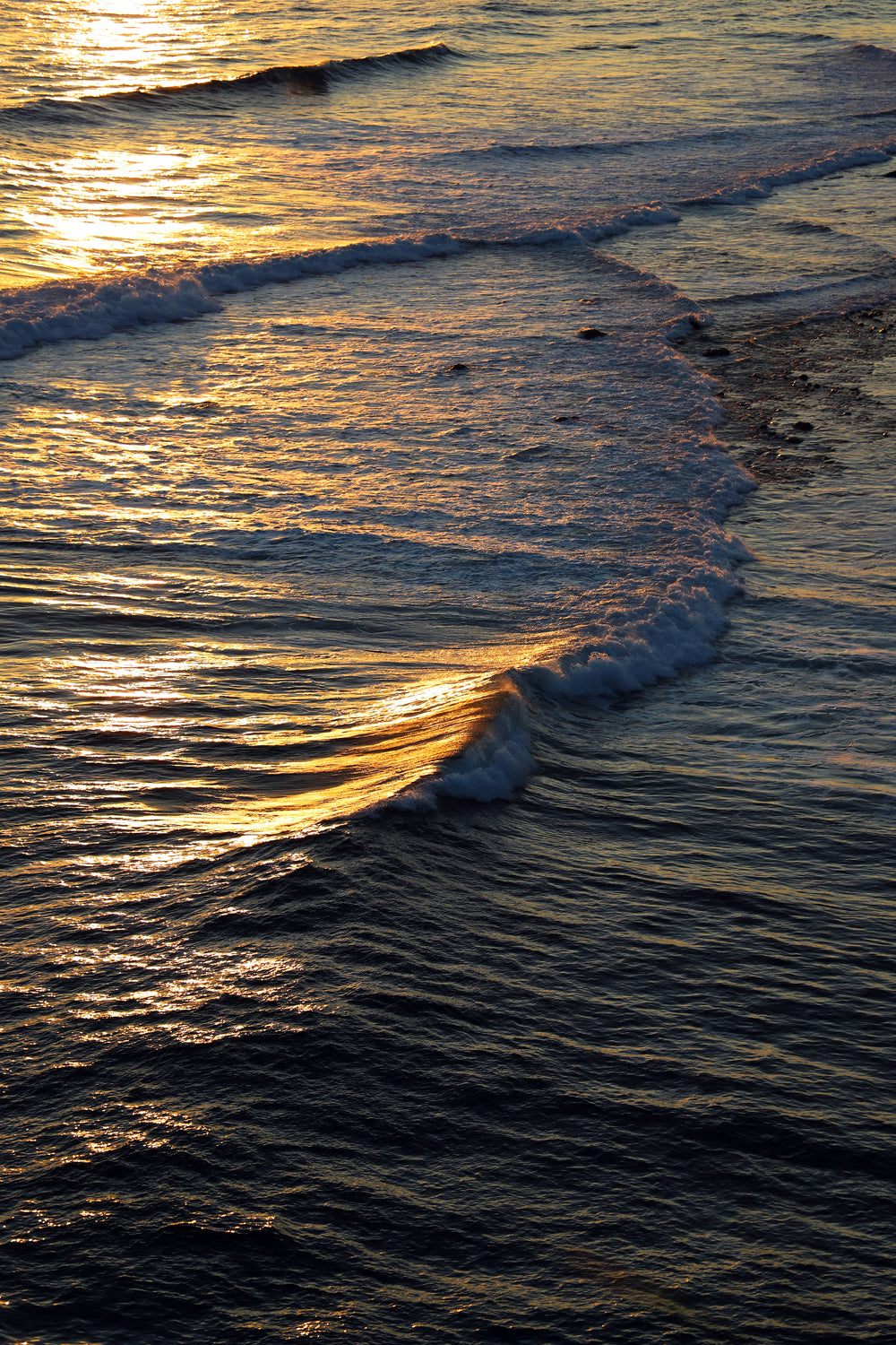 Main image Golden Waves