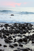 Main image Cenozoic