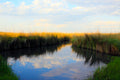 Main image Clouds In The Grass