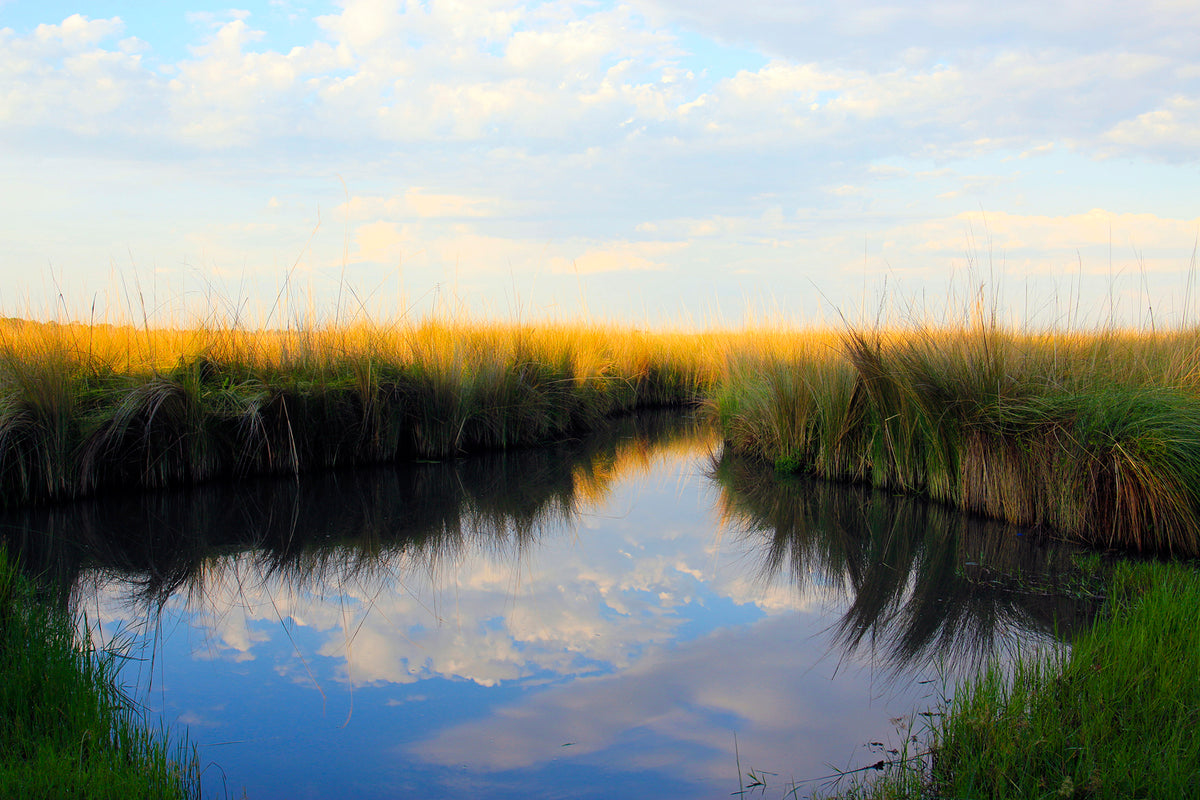 Main image Clouds In The Grass