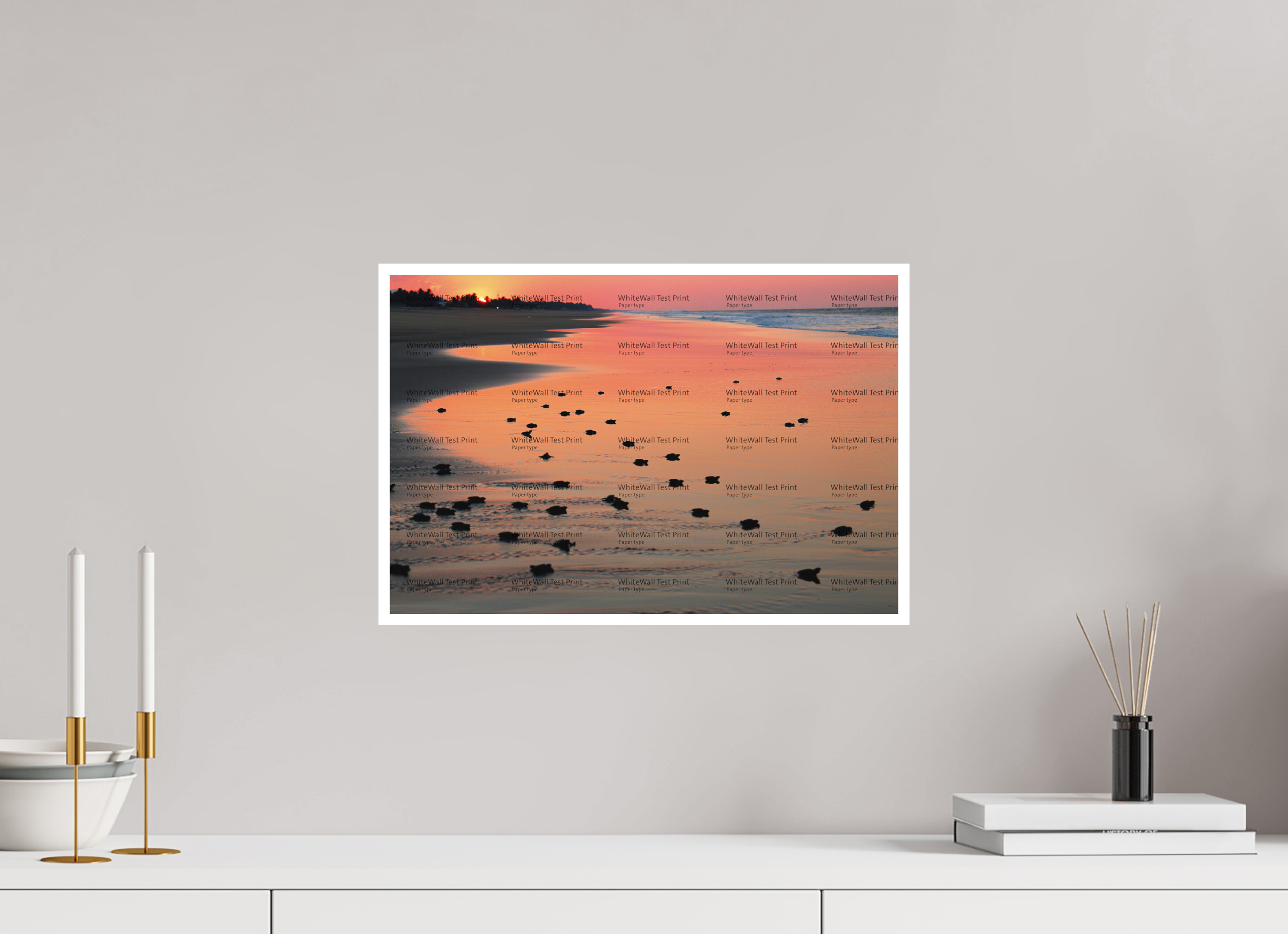 45 x 30 cm, Configuration Two (1cm border) Amphibia